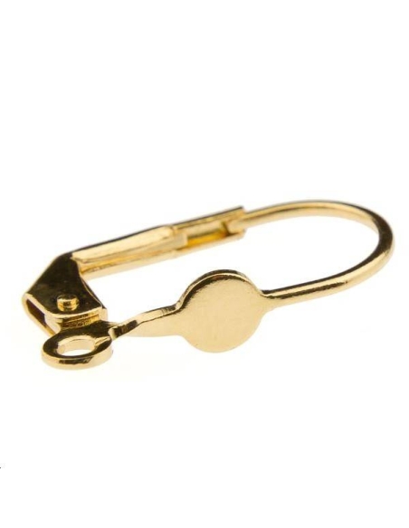 Paire de dormeuses 16mm pastille pleine 4mm  Boucles d'oreilles- 1