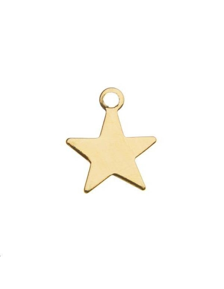 Etoile plate 9mm 1 anneau  Pampilles- 1