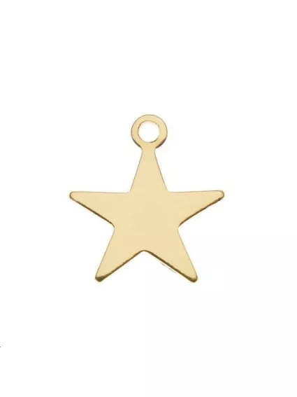 Pampille étoile 10mm 1 anneau  Pampilles- 1
