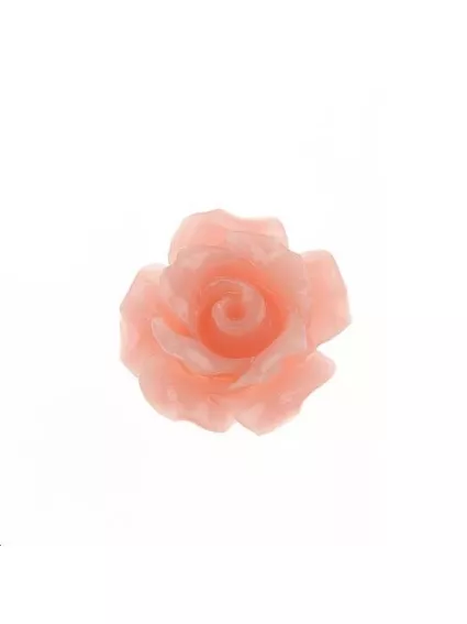 Bambou corail sur résine  fleur 8x7mm  Etoiles têtes de morts coeurs et autres formes- 1