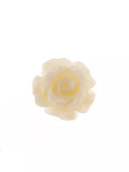 Bambou corail sur résine  fleur 8x7mm  Etoiles têtes de morts coeurs et autres formes- 1