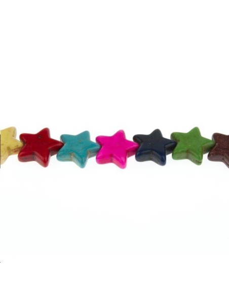 Magnésite étoile 14mm  Etoiles têtes de morts coeurs et autres formes- 1