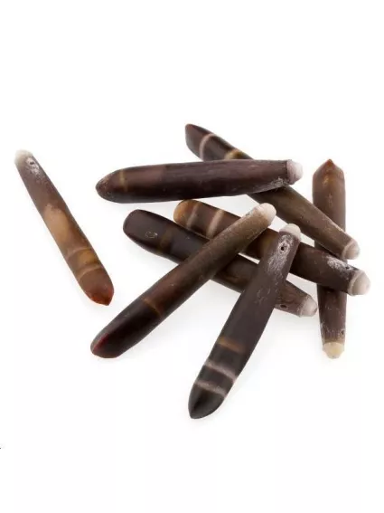 Epine d'oursin 60mm  Formes particulières- 1