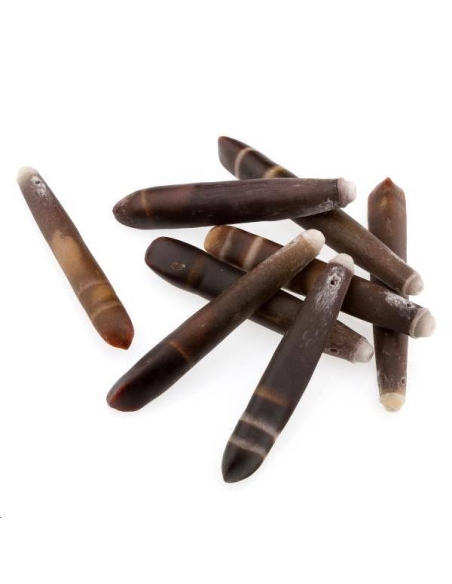 Epine d'oursin 60mm  Formes particulières- 1