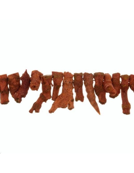 Jaspe éponge branche 40-25mm  Formes particulières- 1 Jaspe éponge branche 40-25mm  Formes particulières- 1