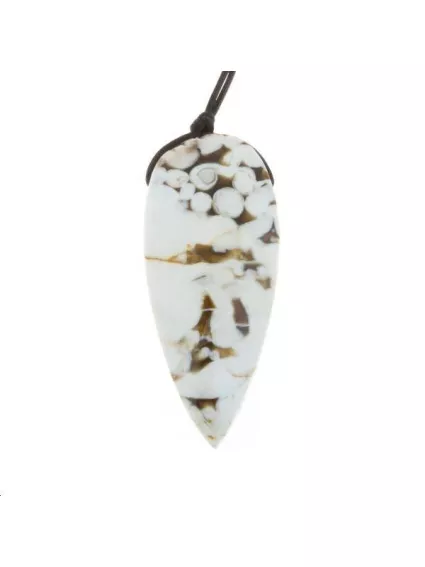 Fossile peanut pendentif 60x26mm  Les pendentifs en pierre Fine- 1