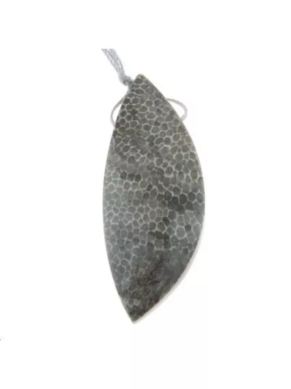 Corail bryoszan pendentif 50x20 mm  Les pendentifs en pierre Fine- 1