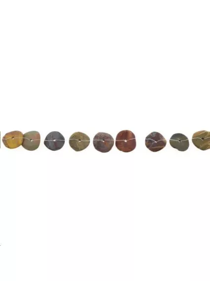 Jaspe picture australien disque 14mm  Formes particulières- 1