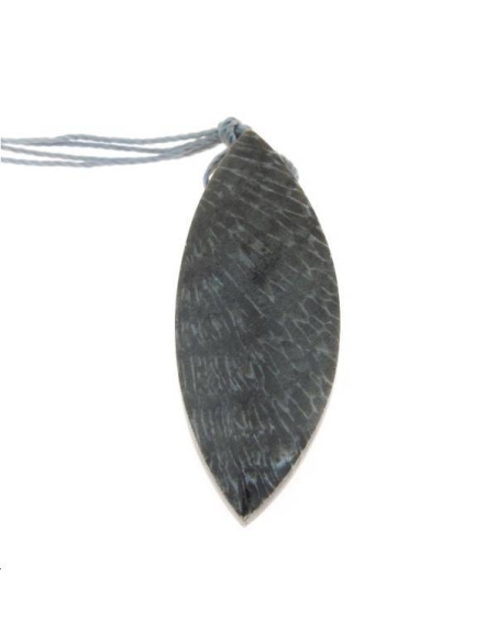 Corail bryozoan pendentif 40x20mm  Les pendentifs en pierre Fine- 1