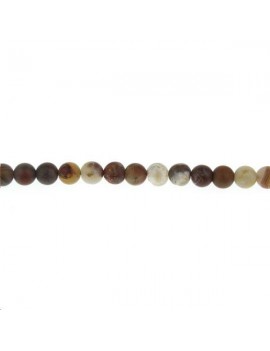 Jaspe bois arc en ciel rond 9-10mm Perles rondes 10-11mm - 1