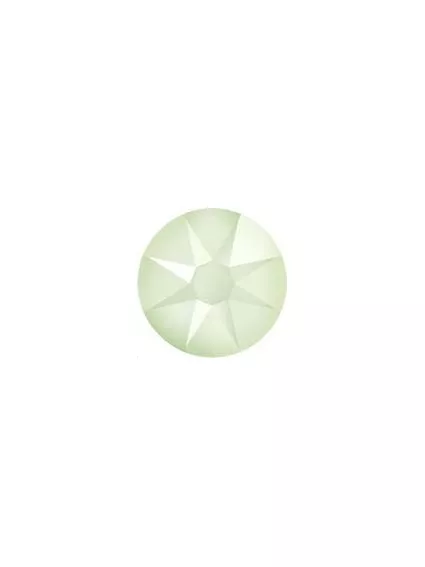 Lot strass plat 4,8mm  2