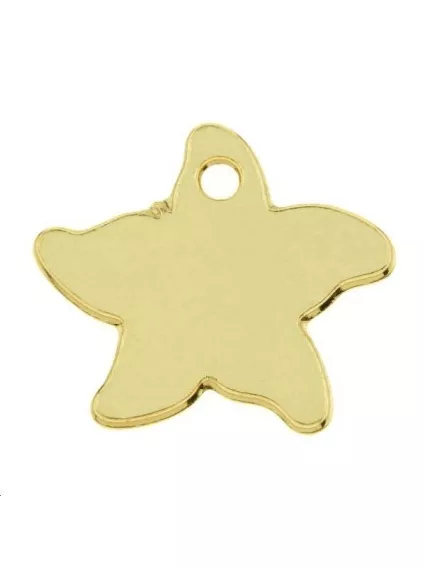 Pampille étoile de mer 14mm 1 trou  Pampilles- 1