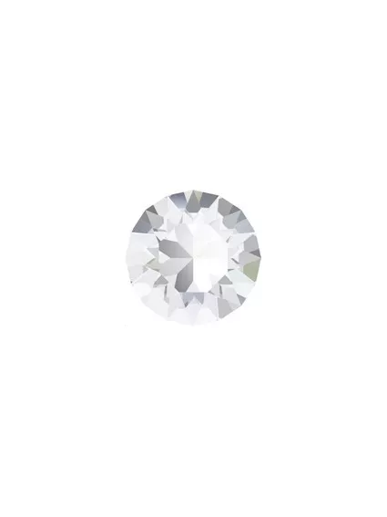 Lot de 50 pièces Xilion chaton 2,5m 2