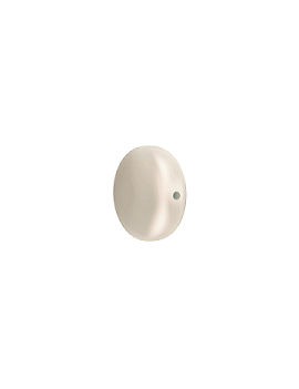 Perle nacrée plate 10mm cream Perles nacrées plates Swarovski® (5860)- 1