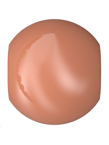 Lot de 50 Nacre ronde 2mm  Nacrées rondes 2mm- 1