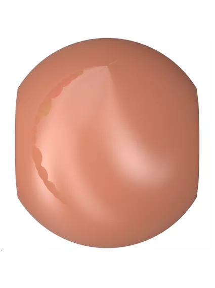 Lot de 50 Nacre ronde 2mm  Nacrées rondes 2mm- 1