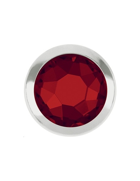 Framed flat back 4,8mm hotfix  Strass plat hotfix Framed flat back 4,8mm - 2