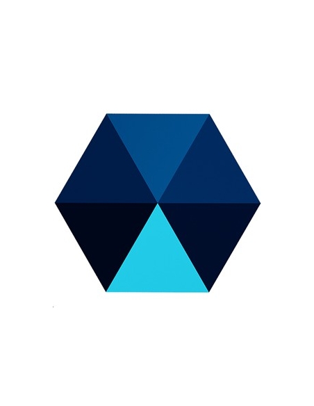 Hexagon spike bead 5,5mm  Spike beads (5060/5061/5062)- 2