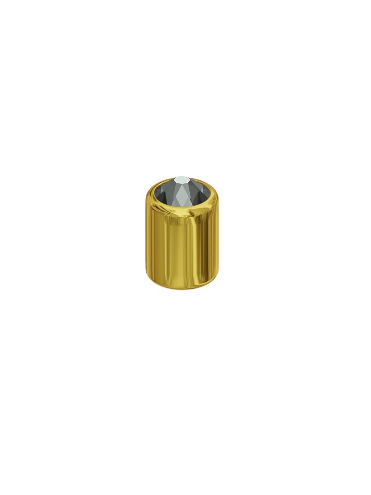 3D studs hematite / gold  Rivets 3D Studs (5400)- 2