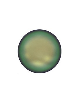 Perle nacrée plate 12mm sc green Perles nacrées plates Swarovski® (5860)- 1