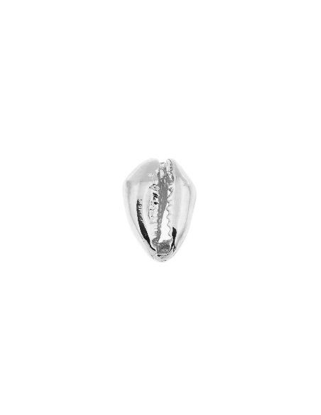 Cauri 26x17mm  Intercalaires- 1
