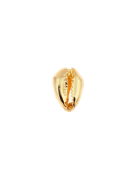 Cauri 26x17mm  Intercalaires- 1