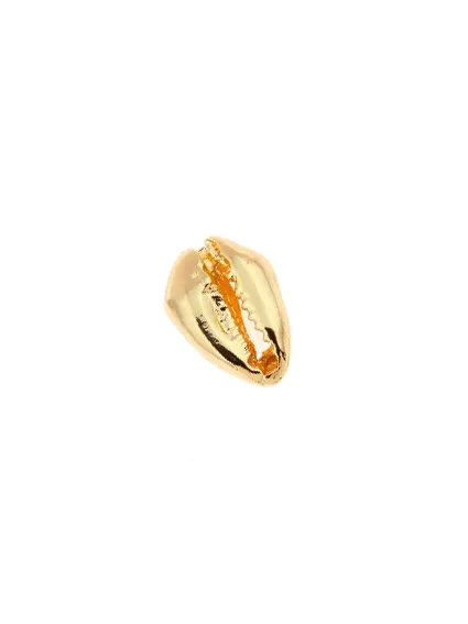 Cauri 13x9mm  Intercalaires- 1