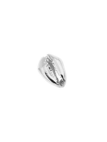 Cauri 13x9mm  Intercalaires- 1
