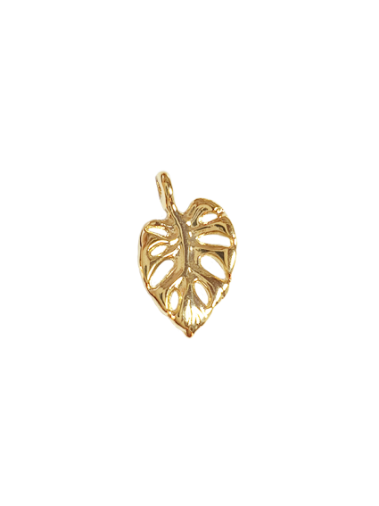 Pendentif feuille monstera 13x17mm  Pendentifs- 1