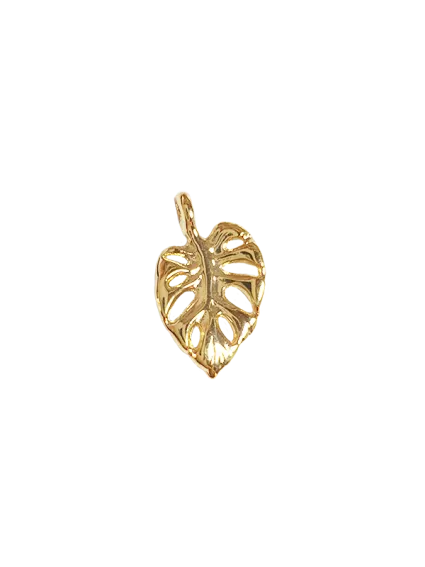 Pendentif feuille monstera 13x17mm  Pendentifs- 1