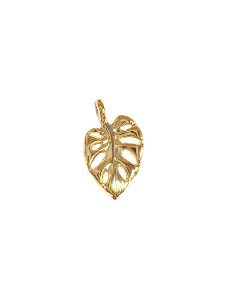 Pendentif feuille monstera 13x17mm  Pendentifs- 1 Pendentif feuille monstera 13x17mm  Pendentifs- 1