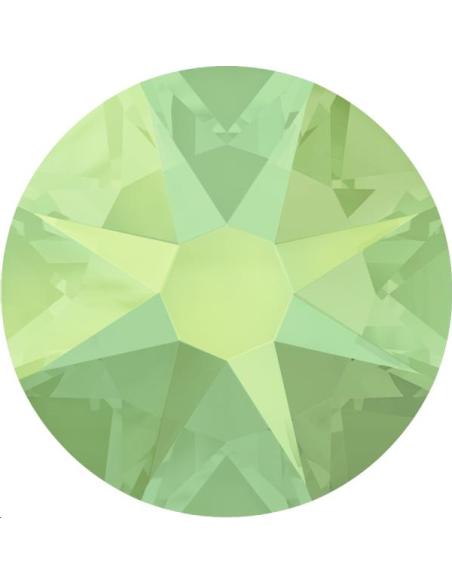 Lot strass plat 4,8mm 