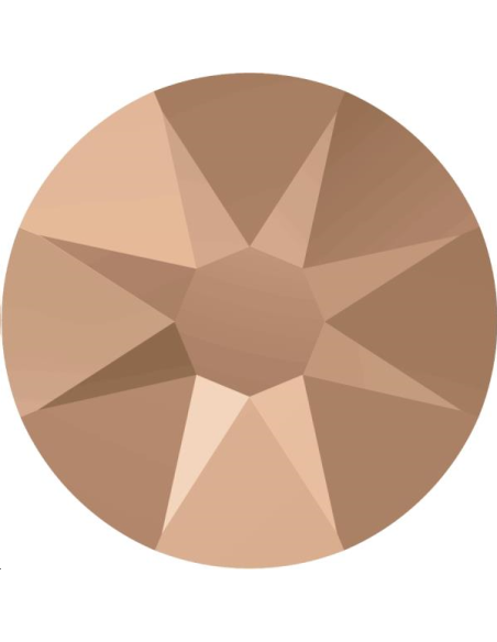 Lot strass plat 4,8mm 