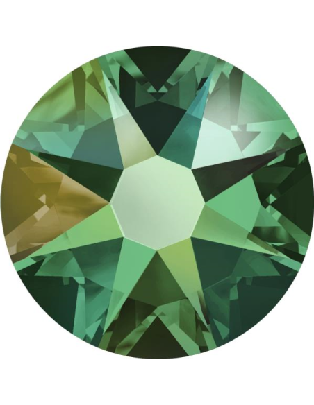 Lot strass plat 4,8mm 