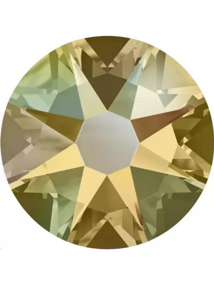 Lot strass plat 4,8mm 