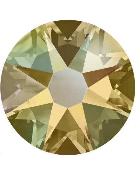 Lot strass plat 4,8mm 