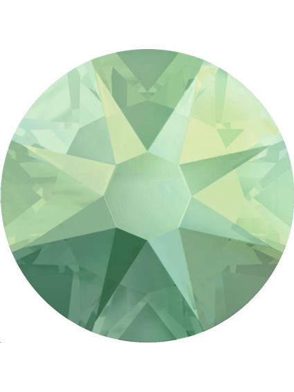 Lot strass plat 4,8mm