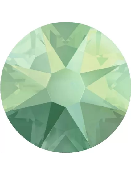 Lot strass plat 4,8mm