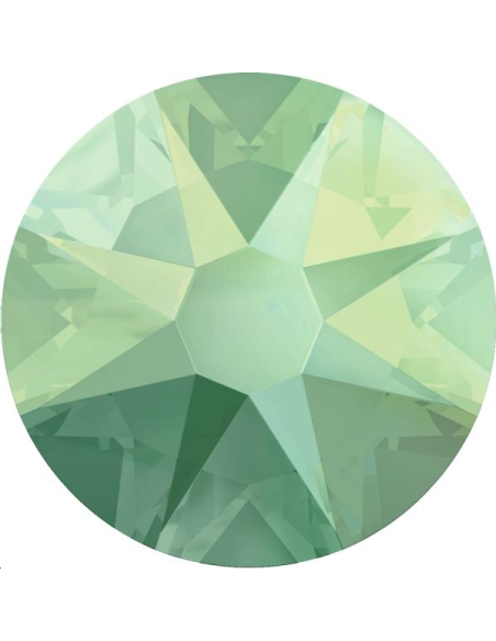 Lot strass plat 4,8mm