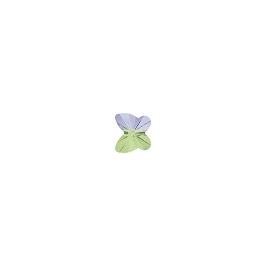Papillons 6mm