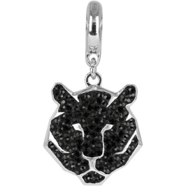 Charms